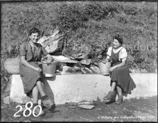 280ProSafrandorf
