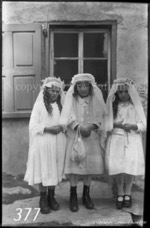 377ProSafrandorf