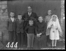444ProSafrandorf
