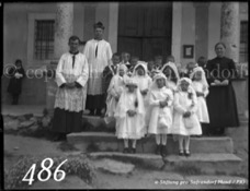 486ProSafrandorf