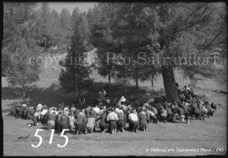 515ProSafrandorf