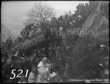 521ProSafrandorf