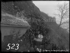 523ProSafrandorf