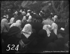524ProSafrandorf