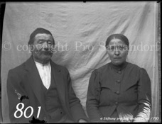 801ProSafrandorf