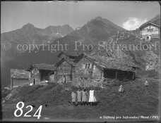 824ProSafrandorf