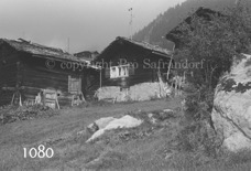 1080Pro Safrandorf