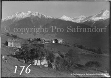 176ProSafrandorf