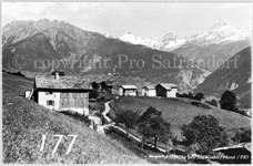177ProSafrandorf