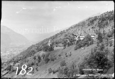 182ProSafrandorf
