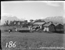 186ProSafrandorf