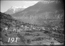 191ProSafrandorf