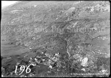 196ProSafrandorf
