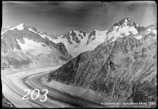 203ProSafrandorf