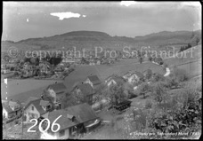 206ProSafrandorf