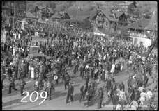 209ProSafrandorf